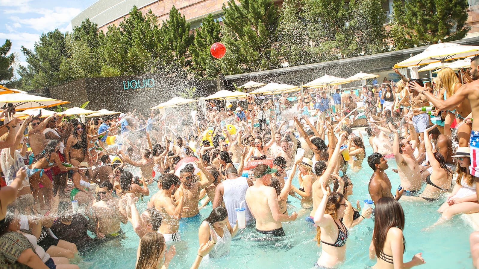 Liquid Pool LoungeLas Vegas